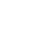Digital Video Cameras